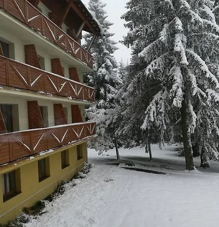 Medvedica Penzion *