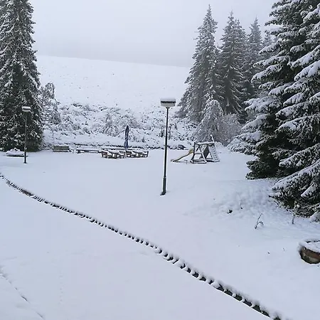 Medvedica Penzion *